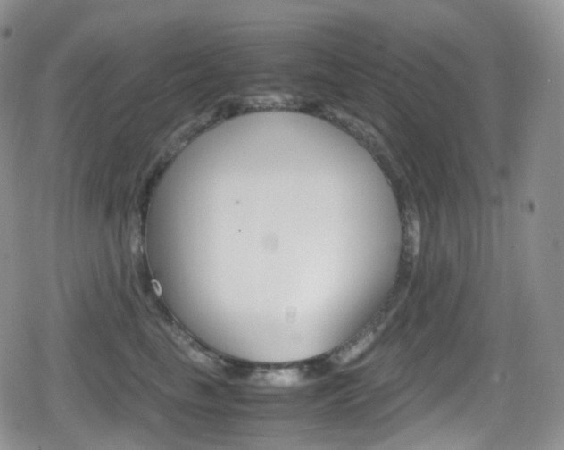 X0000080730665200612150905