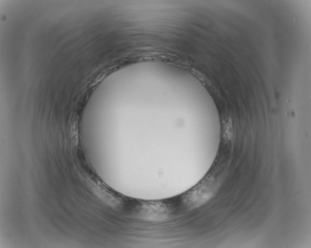 X0000080730666200612150905