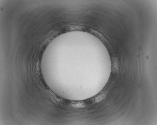 X0000080730667200612150905