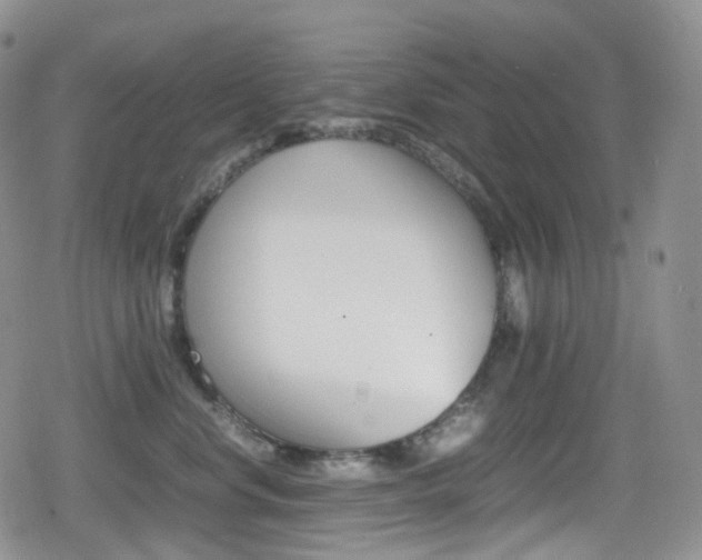 X0000080730668200612150905