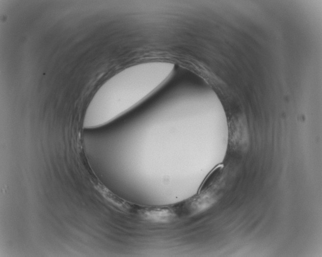 X0000080730669200612150905