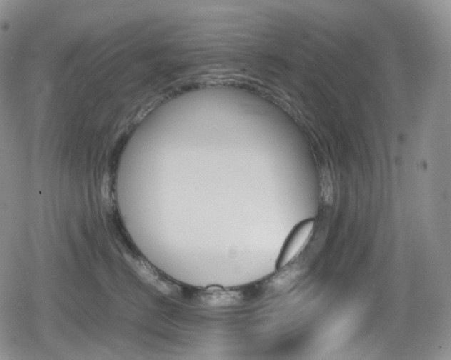 X0000080730670200612150905