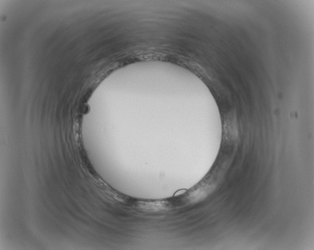 X0000080730671200612150905