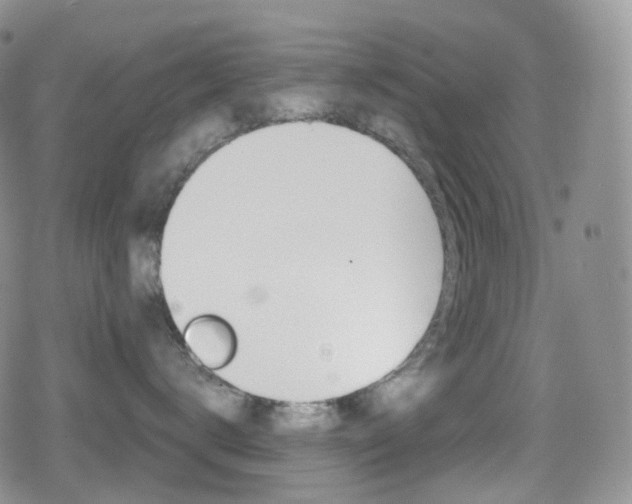 X0000080730672200612150905