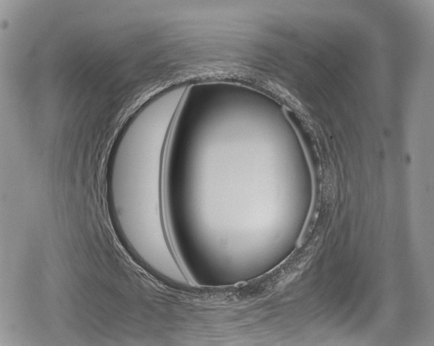 X0000080730673200612150904