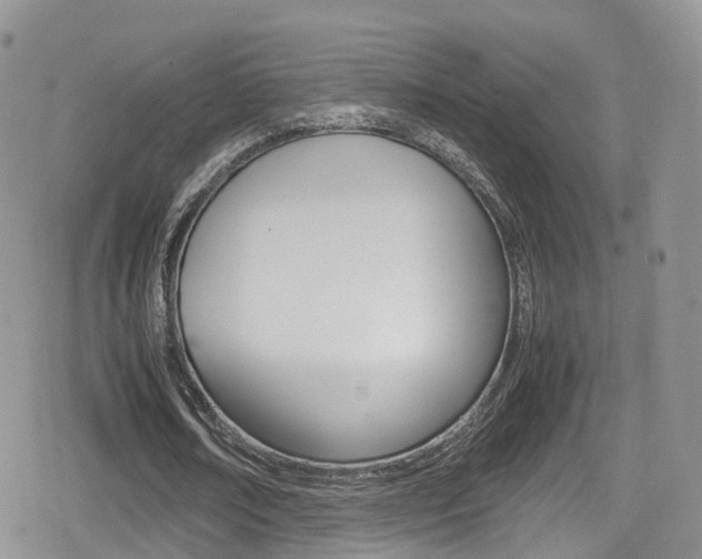 X0000080730674200612150904