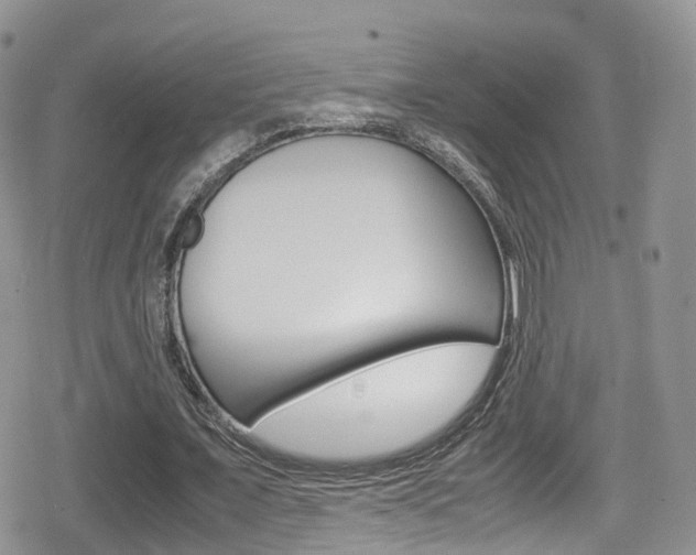 X0000080730675200612150904