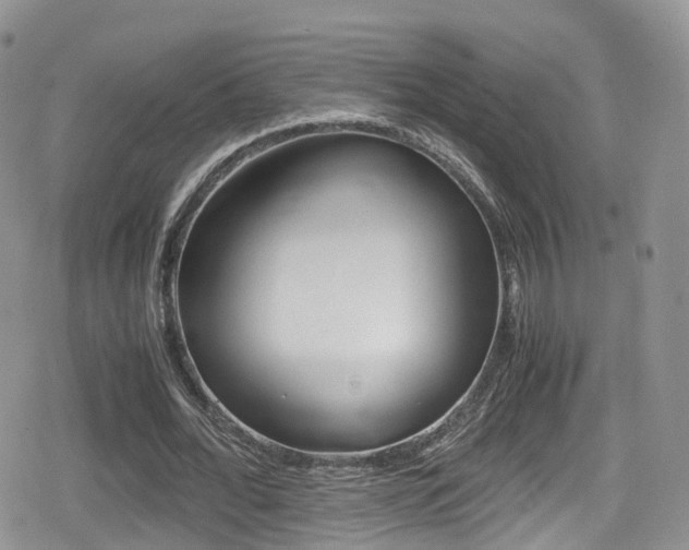 X0000080730676200612150904