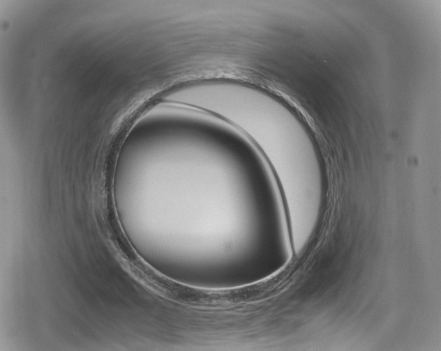 X0000080730677200612150904