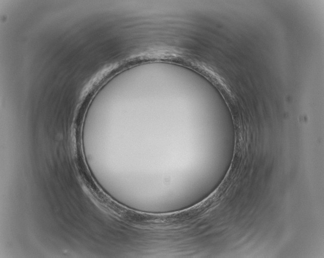 X0000080730678200612150904