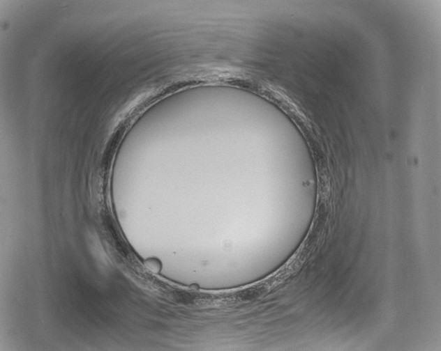 X0000080730679200612150904