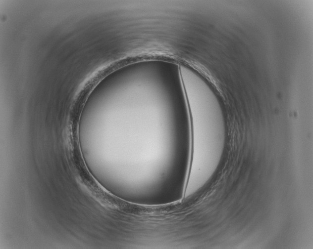 X0000080730680200612150904