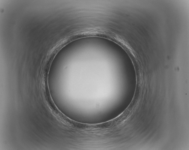 X0000080730681200612150904