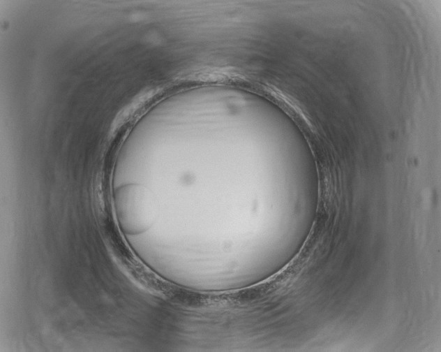 X0000080730682200612150904