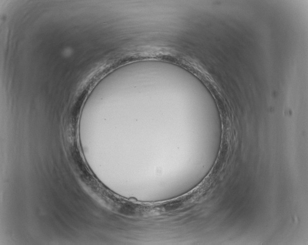 X0000080730683200612150904