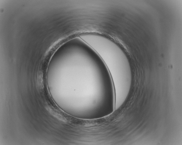 X0000080730684200612150904