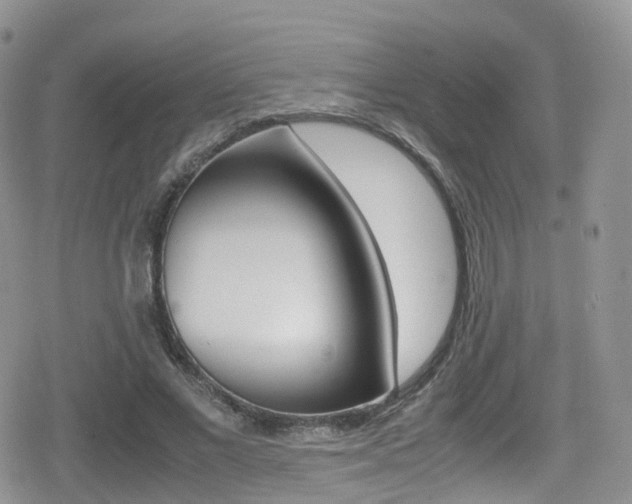 X0000080730685200612150904