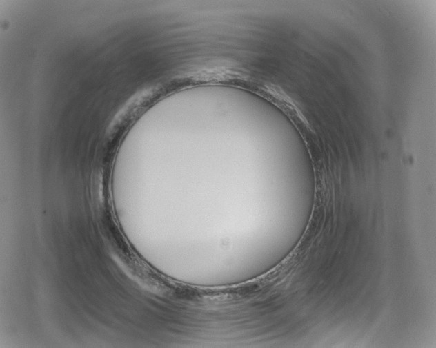 X0000080730686200612150904