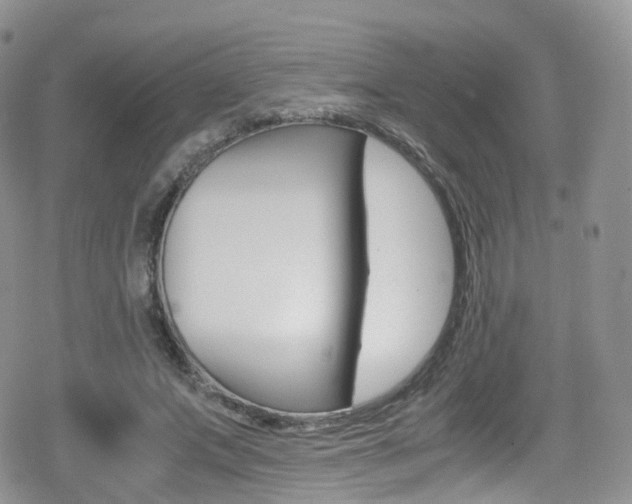 X0000080730687200612150904