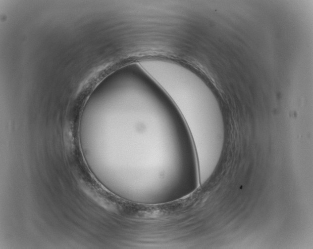 X0000080730688200612150904