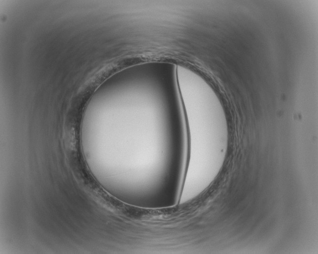 X0000080730689200612150904