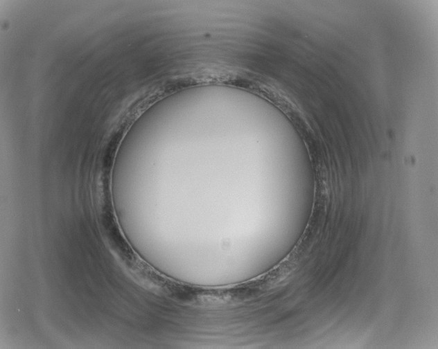 X0000080730690200612150904