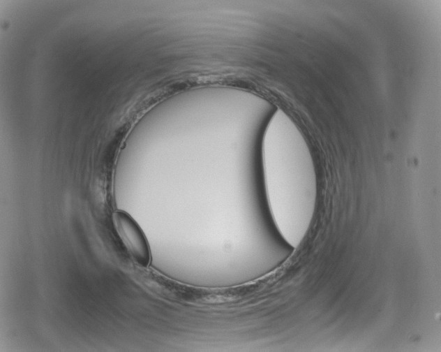 X0000080730691200612150904