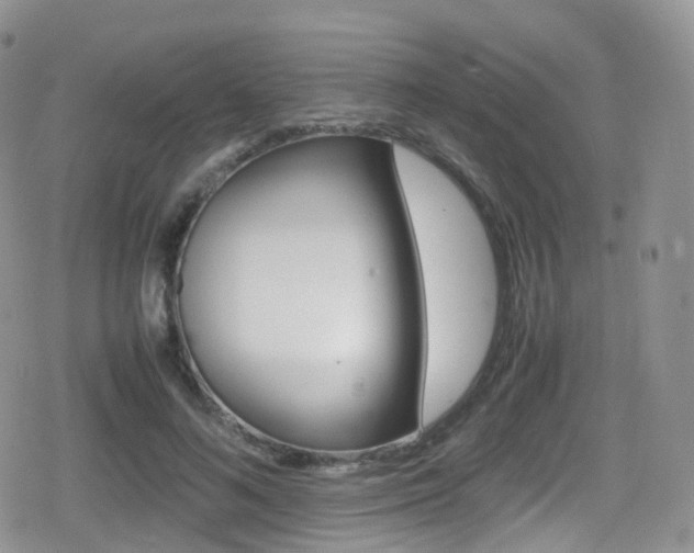 X0000080730692200612150904