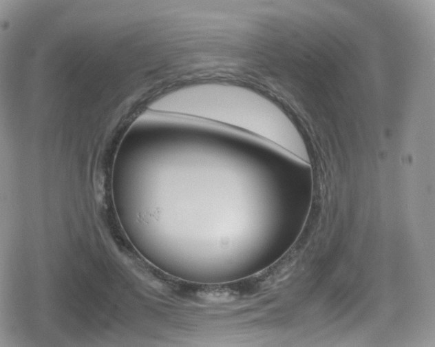 X0000080730693200612150904