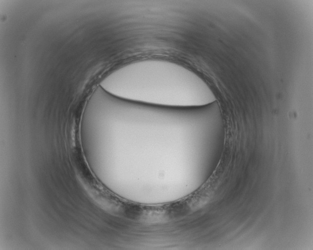 X0000080730694200612150904