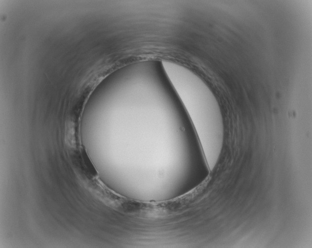 X0000080730696200612150903