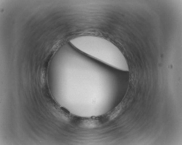 X0000080730708200612150903