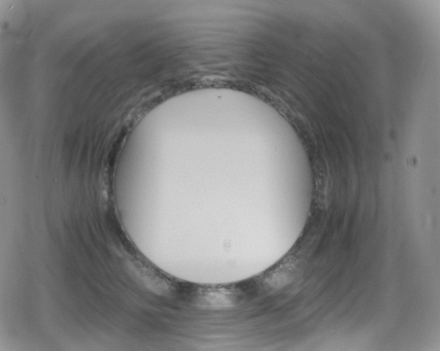 X0000080730710200612150903