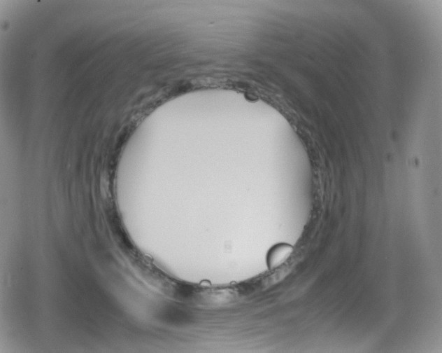 X0000080730711200612150903