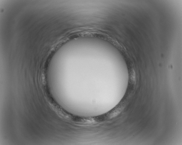 X0000080730715200612150903