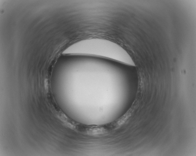 X0000080730716200612150903