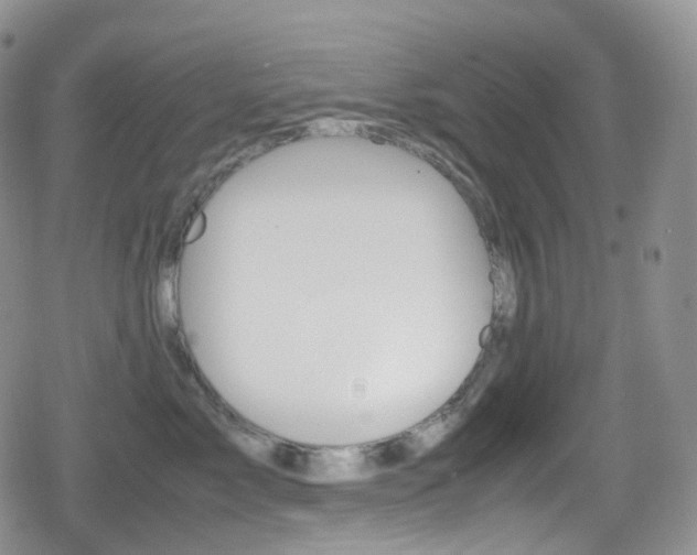 X0000080730717200612150903