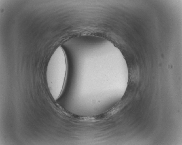 X0000080730719200612150903