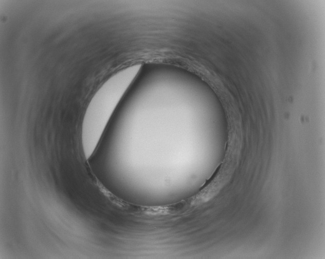 X0000080730720200612150903