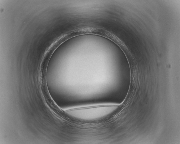 X0000080730722200612150902