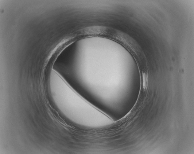 X0000080730723200612150902