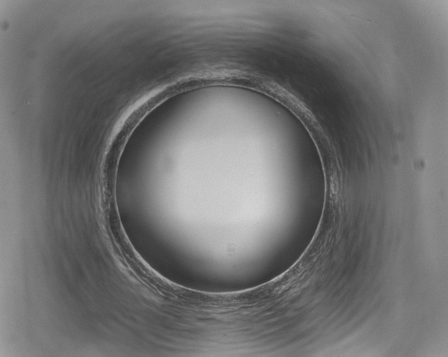 X0000080730724200612150902