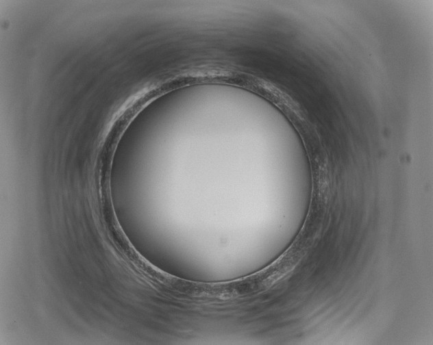 X0000080730727200612150902