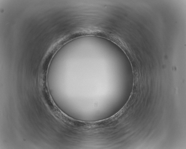 X0000080730736200612150903