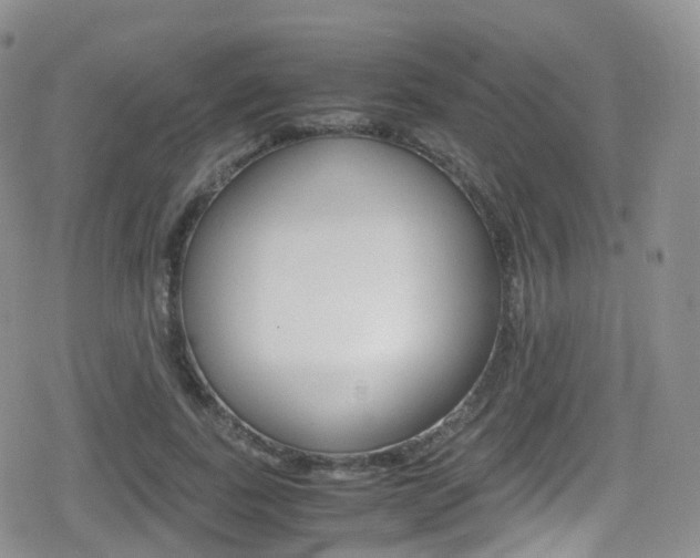 X0000080730739200612150903