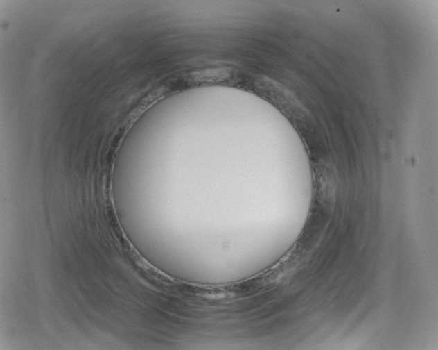 X0000080730745200612150903