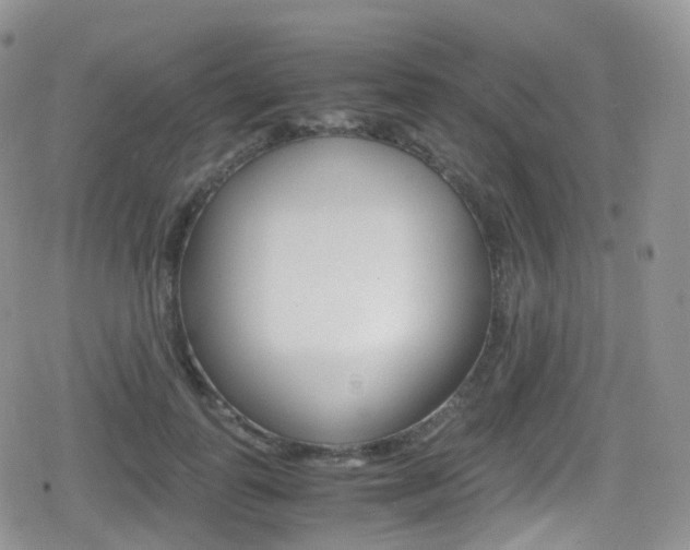 X0000080730747200612150903