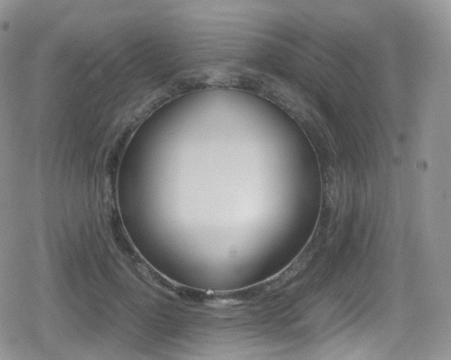 X0000080730748200612150903