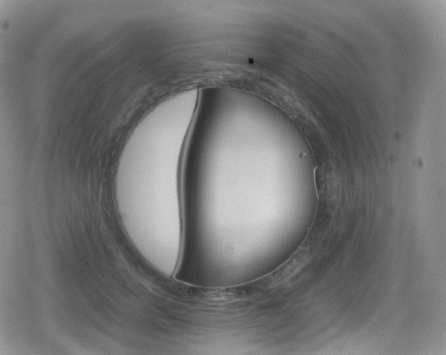 X0000080730750200612150903