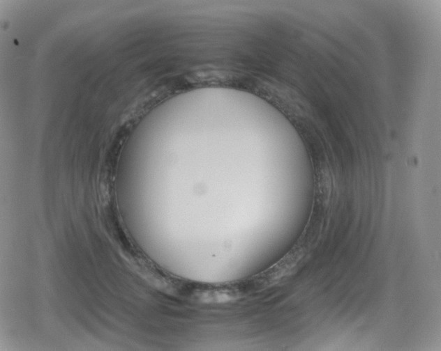 X0000080730751200612150903